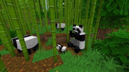 панды и тростник