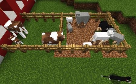 Ферма с коровами, барашками и их другом - котом