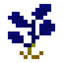 Синее растение