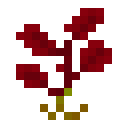 Красное растение