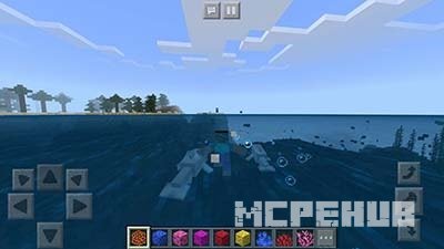 Дельфины плывут за игроком в Minecraft Pocket Edition