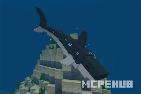 Вселяющая страх акула