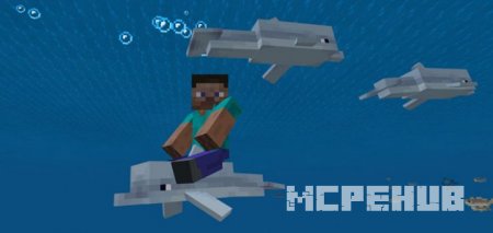 Мод: Езда на дельфине для Minecraft PE