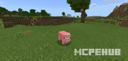 Игрок Майнкрафт превратил себя в свинку