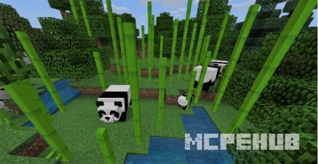 Панды гуляют в бамбуковом лесу