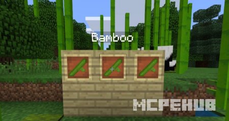 Представление нового предмета в рамке - бамбука