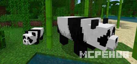 Мод: Панда для Minecraft
