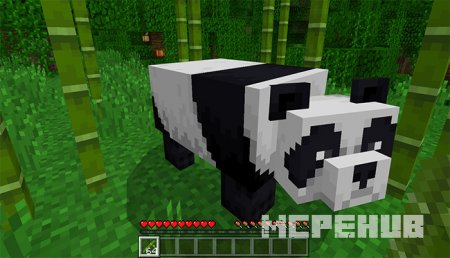 Панда посреди бамбукового леса