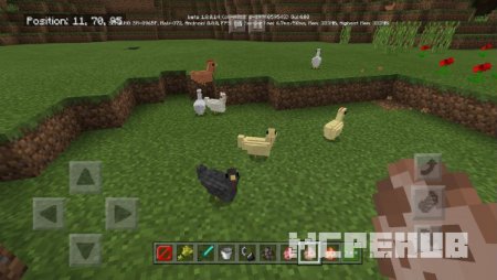Курицы и петухи различных окрасов на равнине