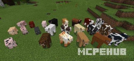 Мод: Домашние животные для Minecraft 1.8