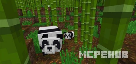 Скриншот Bamboo Forest & Pandas 2