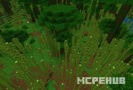 Скриншот Bamboo Forest & Pandas 3