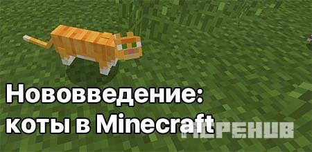 Прирученный кот