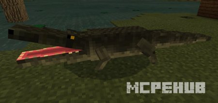 Мод: Аллигатор для Minecraft 1.9