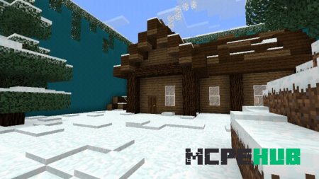 Большой деревянный дом в снежном окружении