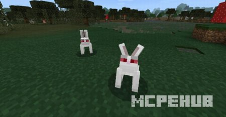 Жуткие кролики-убийцы, появляющиеся в болотах