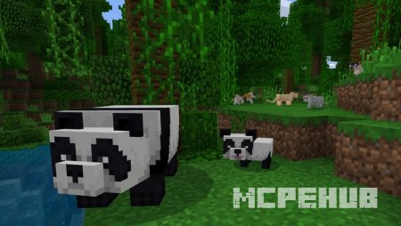 панды в Minecraft