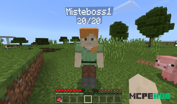 That name is already taken minecraft как исправить