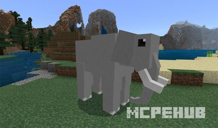 Слон на равнине