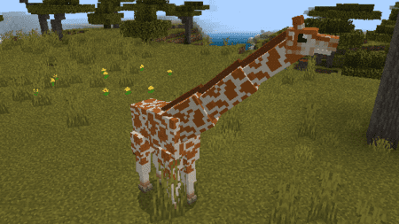 Скриншот Giraffes 3