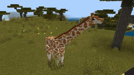 Скриншот Giraffes 5