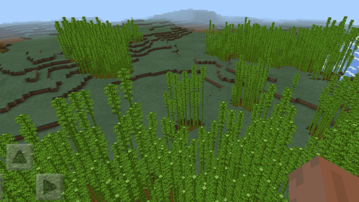 Биом и рощей из бамбуков