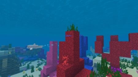 Насыщенные цвета кораллов в подводном мире