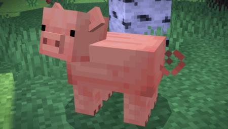 улучшенная модель свиньи