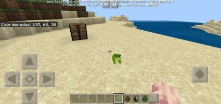 Жаба на песчаном пляжу