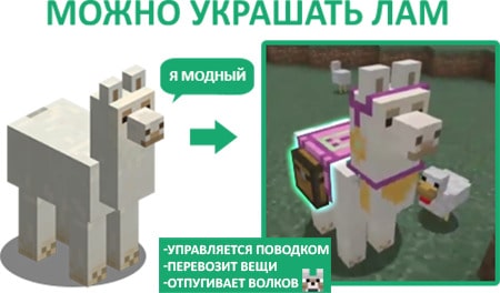 Лама