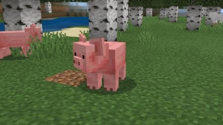 Новая модель свинки