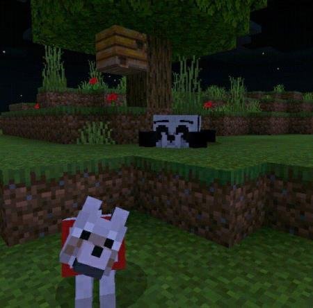 Панда разлеглась на равнине