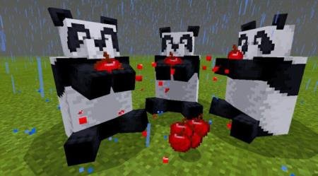 Три панды кушают яблоки