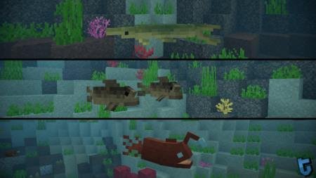 Три вида новых морских существ