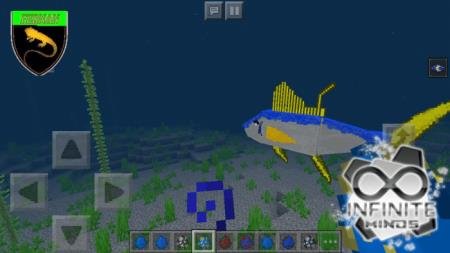 Красивая и дружелюбная жёлто-синяя рыба