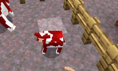 Маленькая грибная корова красного цвета