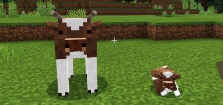 Представление новых моделей коров, которые стали более реалистичными