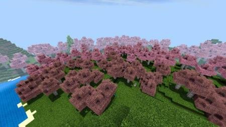Огромный лес, наполненный деревьями с розовой листвой