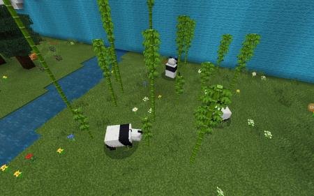 панды в равнине