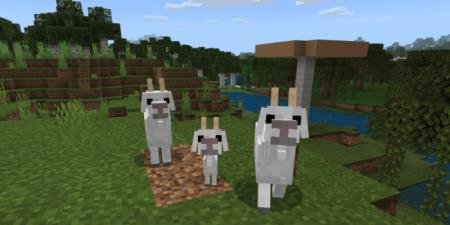 три козла