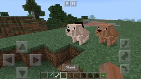 Две собаки сидят на равнине