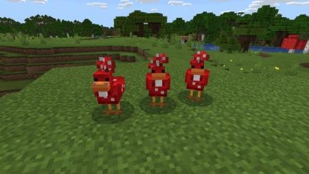 Красные грибные цыплята