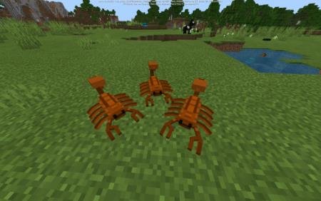Три агрессивных скорпиона