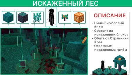 Описание Искаженного леса