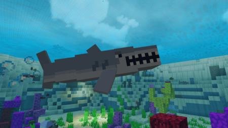 акула в океане