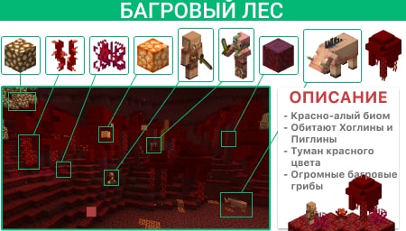 Описание Багрового леса
