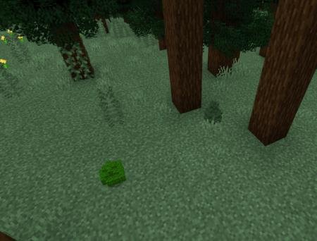 мини-деревья в лесу