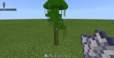выращивание дерева