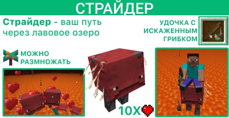 Описание Страйдера