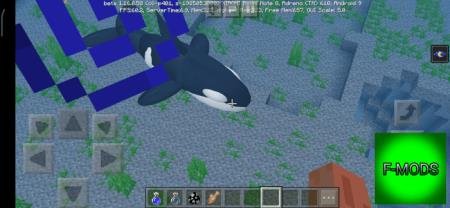 кит в океане